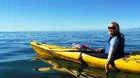 Éco-visite d'une journée complète en kayak Astrolabe Éco-visite d'une journée complète en kayak Astrolabe