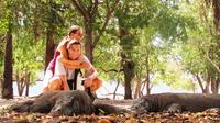 3-Day Komodo National Park Tour from Labuan Bajo