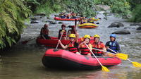 Bali Rafting Adventure on the Ayung River