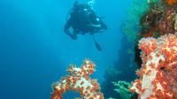 3-Day PADI Open Water Scuba Diving Certification Course in Bali