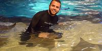 Ripley's Aquarium of Canada: Snorkel with Stingrays Experience