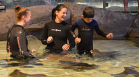 Ripley's Aquarium of Canada: Stingray Experience