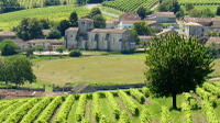 A day visiting traditional distilleries in the Heart of the vineyards of Cognac