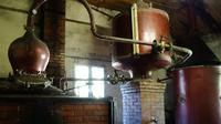 Private Bordeaux Wine and Cognac Distillery Tour with Wine Workshop from Cognac