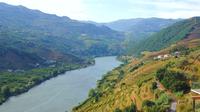 Full-Day Tour of the Astonishing Douro Wine Region with Lunch and Wine Tasting