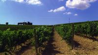 Wine Tasting Tour in the Umbrian Hills with Lunch
