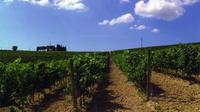 Wine Tasting Tour on the Umbrian Hills with Lunch