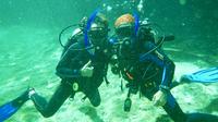 Discover Scuba in Cenote and Ocean Dive