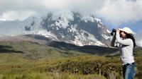 3-Day Andean Train and Volcanoes