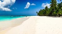 Day Trip Saona Island from Punta Cana