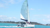 Full-Day Catamaran Cruise on BlueAlize to Ile-Aux-Cerfs from Trou d'Eau Douce