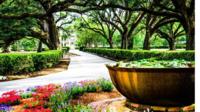 Garden District and Cemetery Walking Tour