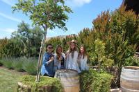 Napa Valley Wineries Tour