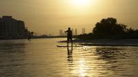 Abu Dhabi Stand Up Paddleboarding Adventure