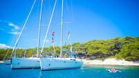7 Day Sailing in the British Virgin Islands: Explore the Caribbean Paradise