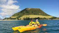 Tauranga Shore Excursion: Kayak Mount Maunganui