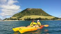 Tauranga Shore Excursion: Mt. Maunganui Kayak Tour