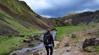 Reykjadalur Valley Hot Spring Hiking Tour from Reykjavik