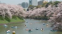 1-Day Tokyo Garden Tour including Breakfast and Lunch