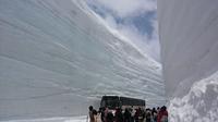 2-Day Tateyama Kurobe Alpine Route, Shirakawago and Hida-Takayama Bus Tour from Tokyo