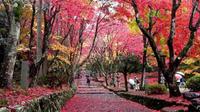 Day Trip to Biwako Valley and Keisoku-ji Temple from Nagoya