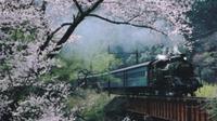 Day Trip to Experience the Steam Locomotive Train and Cherry Blossom Viewing from Tokyo