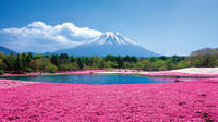 Day Trip to Lake Motosu Including Strawberry Picking from Tokyo