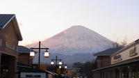 Day Trip to Lake Saiko and Lake Kawaguchi Including Lunch