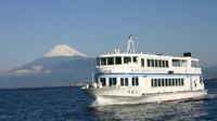 Day Trip to Suruga Bay including a Seafood Lunch and Cruise from Tokyo