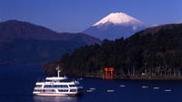 Day Trip to Suruga Bay including Strawberry Picking from Tokyo