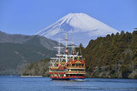 Mt Fuji Day Trip with Lake Ashi Cruise, Crab Lunch and Odawara Castle from Tokyo