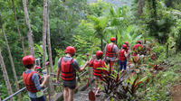 Private Tour: Bali White Water Rafting