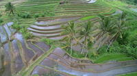 Private Tour: Discover Northern Bali Day Tour