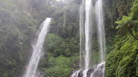 Private Tour: Sekumpul Waterfalls Hiking Tour