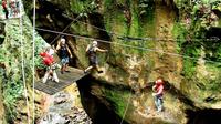 7-Night Costa Rica Beach and Rainforest Highlights Adventure Package