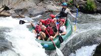 Whitewater Rafting Class III and IV