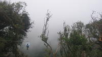 Zipline Hanging Bridges and Nature Exhibits Combo Tour in Monteverde Cloud Forest