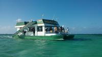 Private Punta Cana Booze Cruise
