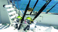 Private Punta Cana Deep-Sea Fishing Charter