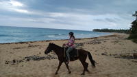 Punta Cana Horseback Riding on the Beach