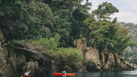 Sunset Eco Kayak Tour in Portofino's Marine Protected Area