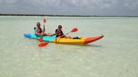 Kayaking Tour Through the Mangroves in Isla Holbox