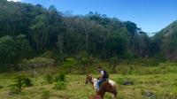 Horseback Ride to the Forgotten Jungle City