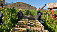 3 Regions Wine Tour from Cape Town