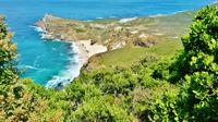 Leisurely Cape Point Tour from Cape Town