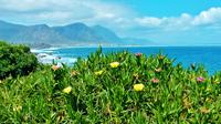 Whale Watching and Wine Tour to Hermanus