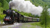 Bohinj Railway Steam Train Ride of the Alpine Region