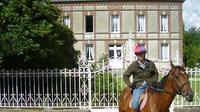 Private Tour: Normandy Thoroughbred Horse Studs Tour from Caen with Optional Horseback Riding