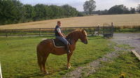 Visite privée: Normandie Cheval pur Goujons avec option Équitation de Rouen