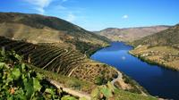 Douro Jour Vinhateiro pleine Visite guidée avec dégustation de vin de Porto